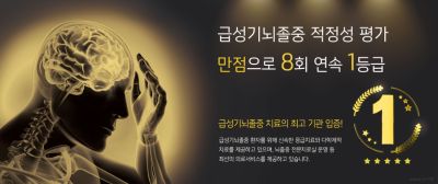 '급성기뇌졸중 적정성 평가' 만점으로 8회 연속 1등급